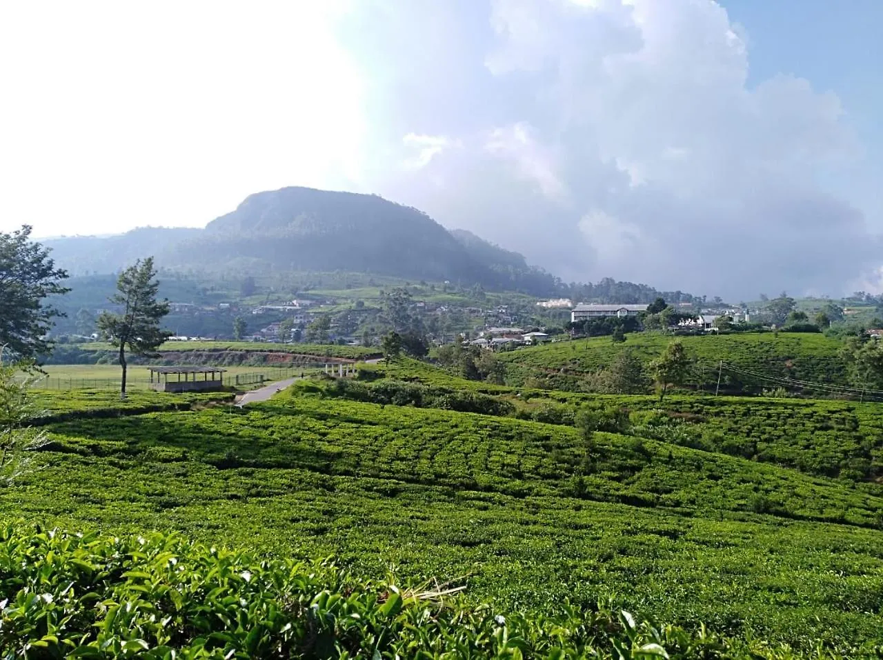 Tealeaf Holiday Inn Nuwara Eliya 3*,  Sri Lanka