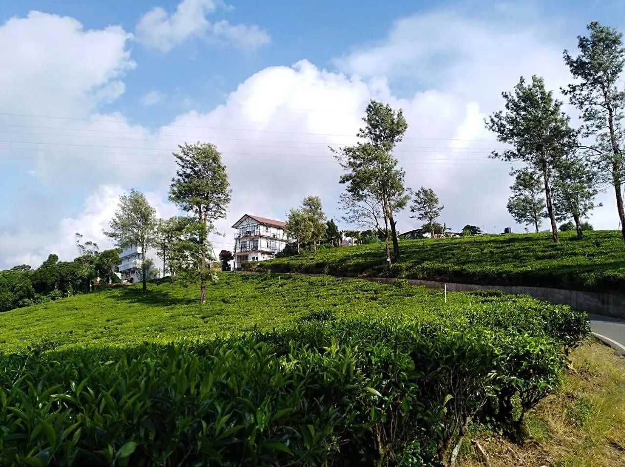 Tealeaf Holiday Inn Nuwara Eliya Hotel